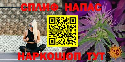 стаф Изобильный