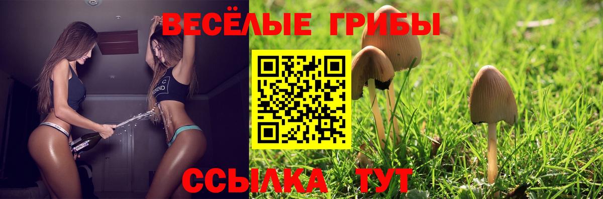 Минусинск  Галлюциногенные грибы мицелий  Вход с VPN 
